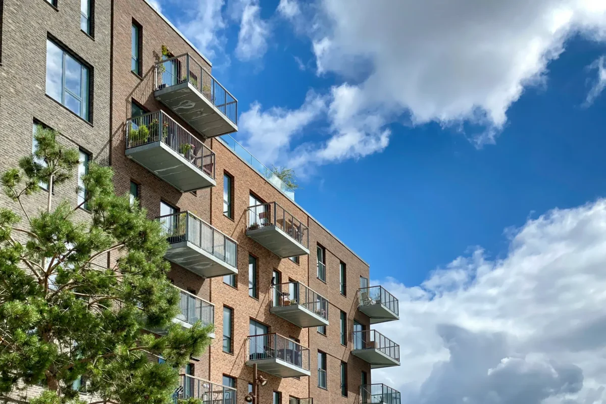 anders-holm-jensen-urYCLa2G4Lg-unsplash anders-holm-jensen-urYCLa2G4Lg-unsplash